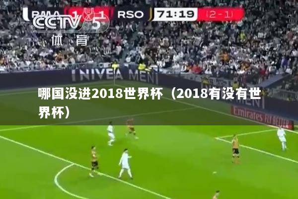 哪国没进2018世界杯（2018有没有世界杯）