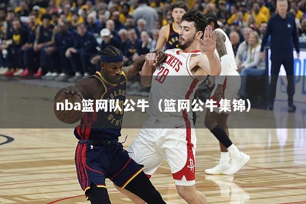 nba篮网队公牛（篮网公牛集锦）