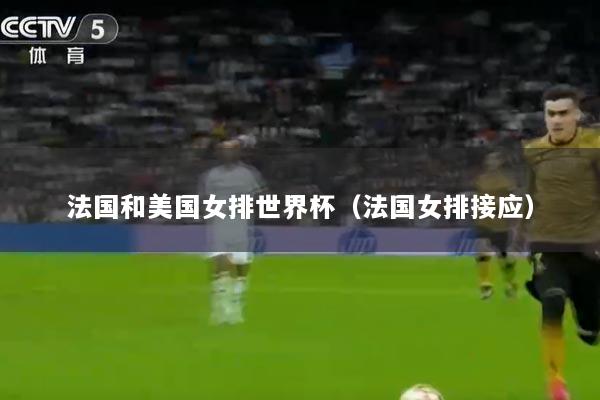 法国和美国女排世界杯（法国女排接应）