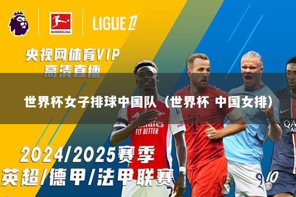 世界杯女子排球中国队（世界杯 中国女排）