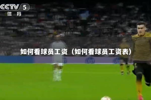 如何看球员工资（如何看球员工资表）